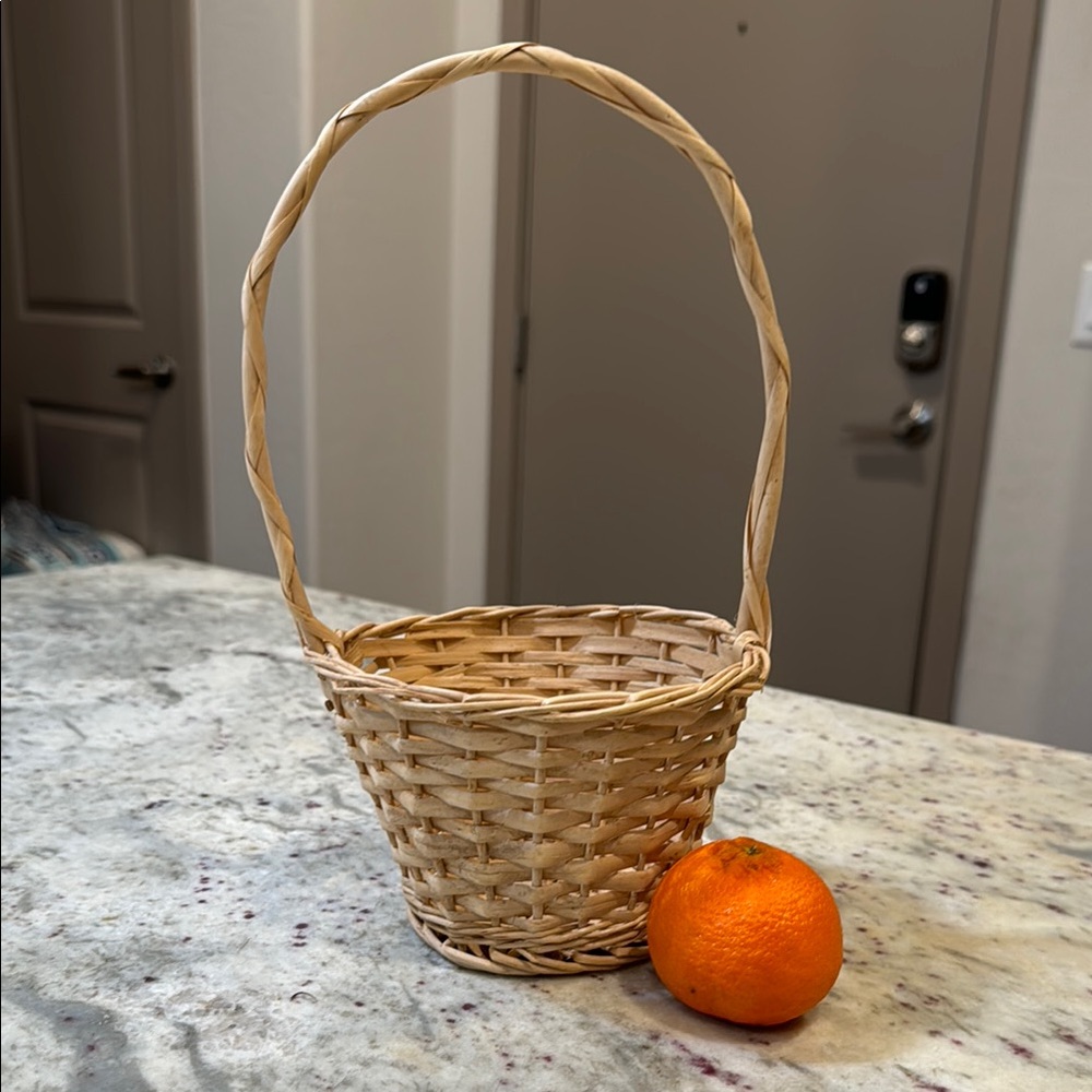 Woven Basket with Handle